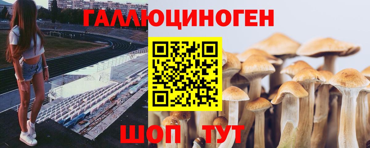 Псилоцибиновые грибы Magic Shrooms  Вход с VPN  даркнет сайт  Добрянка 