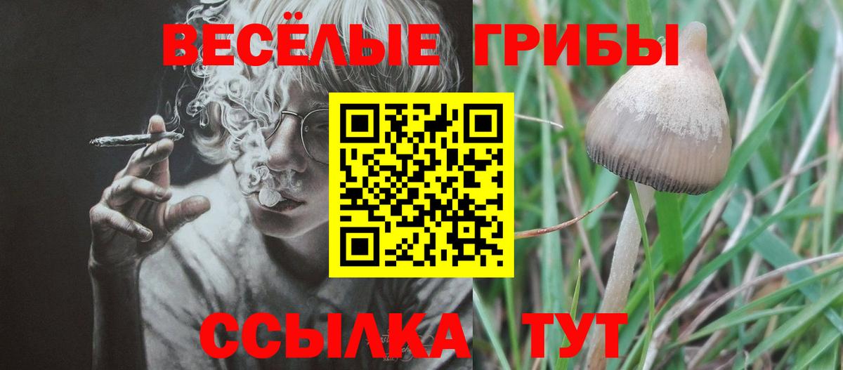 Псилоцибиновые грибы Psilocybe Добрянка